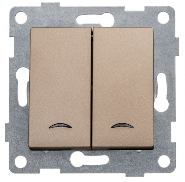 Выключатель двухклавишный Ugra инд, маханизм, 10А, 250В, шампань