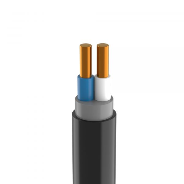 Кабель силовой ВВГнг(А)-LS 2х4 ок(N)-0,66(100м)