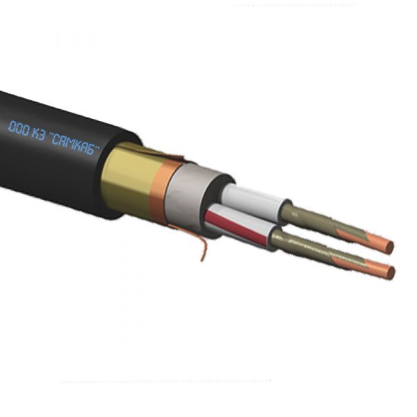 Кабель силовой ВВГЭнг(А)-FRLS 2х4 (N)-0,66 ТРТС