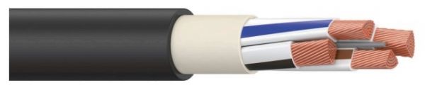 Кабель силовой ВВГЭнг(А)-LS 2х120мс(N)-1 ТРТС