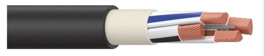Кабель силовой ВВГЭнг(А)-LS 3х6ок(N,PE)-0,66 ТРТС
