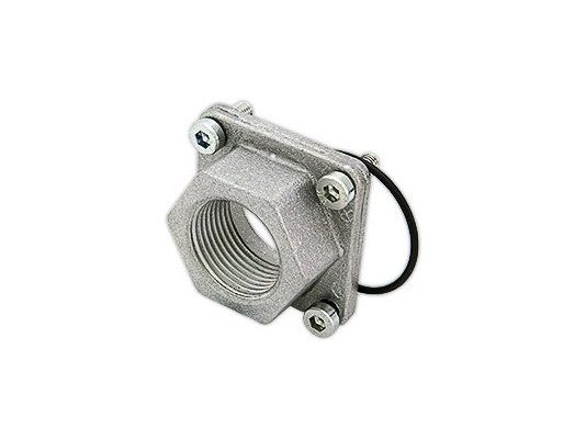 Фланец газового клапана Dungs Rp 3/4" с прокладкой