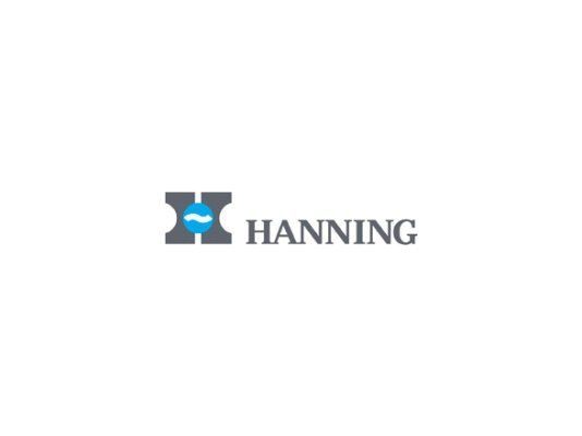 Электродвигатель Hanning 90 Вт OE6y2B5-415