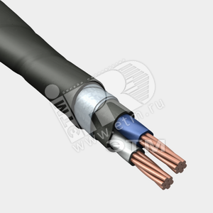 Кабель силовой ВБШв 2х25мк(N)-1 ТРТС