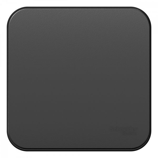 Выключатель одноклавишный наружный BLАNCА (cх.1) с самовозвратом, с изолирующей пластиной, 10А, антрацит