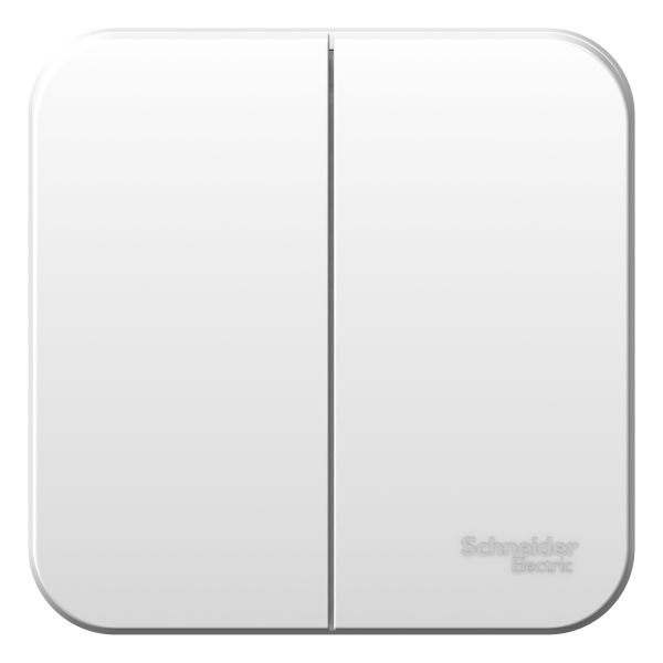 Выключатель наружный двухклавишный BLANCA (cх.5)  металлическая пластина 6A, 250B, белый