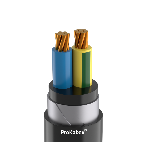 Кабель силовой ВБШвнг-LS-ХЛ 2х25 мк(N)-1 ТРТС