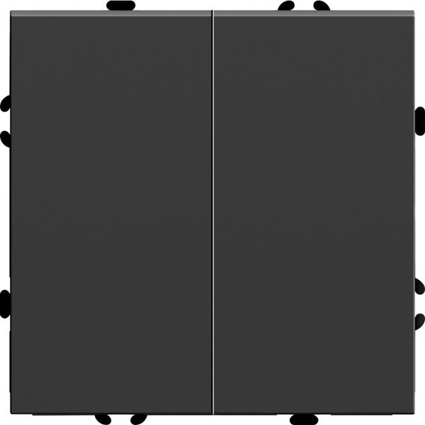 Выключатель 2-клавишный (механизм) 250В, 10А, серия Эмили, черный уголь, soft touch