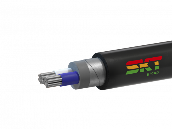 Кабель силовой АВБШв 2х16мк(N)-0.66 ТРТС