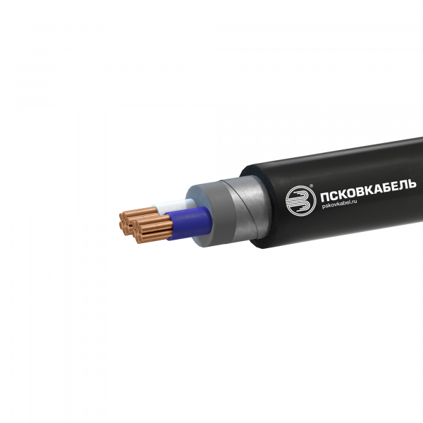 Кабель силовой ВБШвнг(А)-LSLTx 2х50мк(N)-0,66