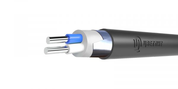 Кабель силовой АВБШвнг(А)-LSLTx 2х50мк(N)-0,66 ТРТС