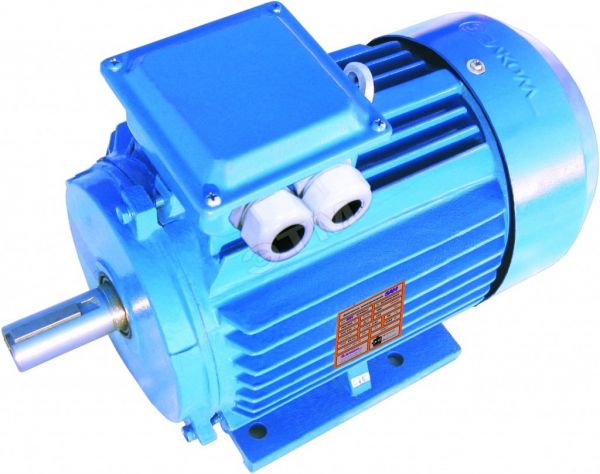 Электродвигатель 5АИ 132 S8 4/750 IM 1081