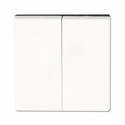 Клавиша 2-я для двухклавишных выключателей  без подсветки. Для механизмов- EP405U, EP409U. Серия- Eco Profi. Материал- термопласт. Цвет- белый.