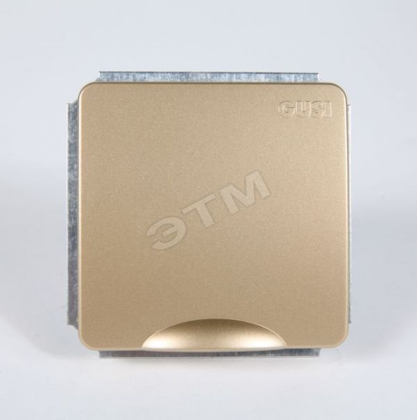 Розетка с заземлением с крышкой в рамку золото