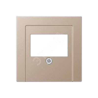 Накладка для USB розетки (ТАЕ гнезда)  Серия A500  Материал- дуропласт  Цвет- шампань