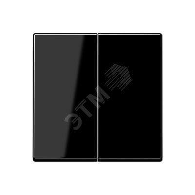 Клавиша 2-я для выключателей и кнопок  без подсветки. Серия A500  Материал- термопласт  Цвет- черный