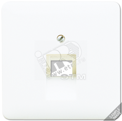 Крышка для ординарной телефонной и компютерной розетки  UAE  платина