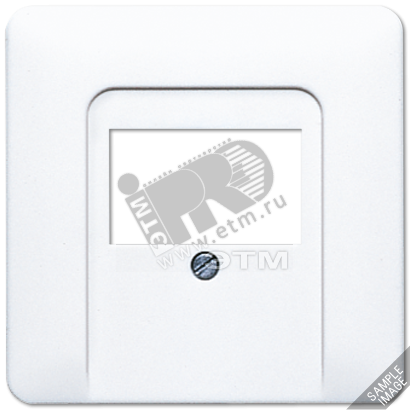 Крышка для ТАЕ розетки  платина