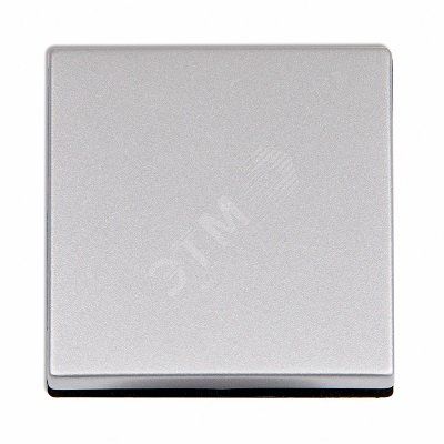 Клавиша 1-я для выключателей и кнопок  без подсветки. Для механизмов- EP401U, EP406U, EP407U, EP431U. Серия Eco Profi. Материал- термопласт. Цвет- алюминий (крашеный).