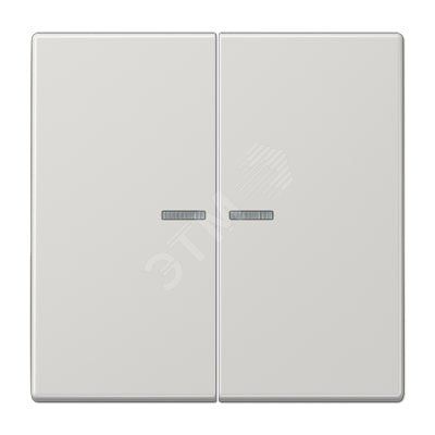 Клавиша 2-я для выключателей и кнопок  с окошком для подсветки. Серия LS990  Материал- дуропласт  Цвет- светло-серый