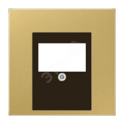 Накладка для USB розетки (ТАЕ гнезда)  Серия LS990  Материал- металл  Цвет- классическая латунь