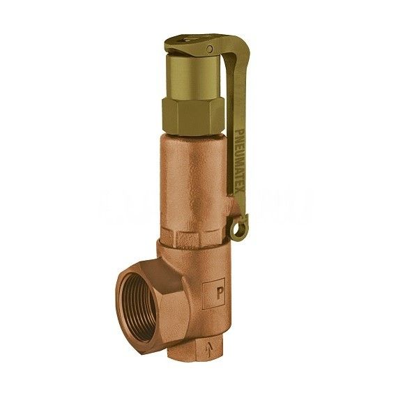 Клапан предохранительный DSV...DGH, Pneumatex