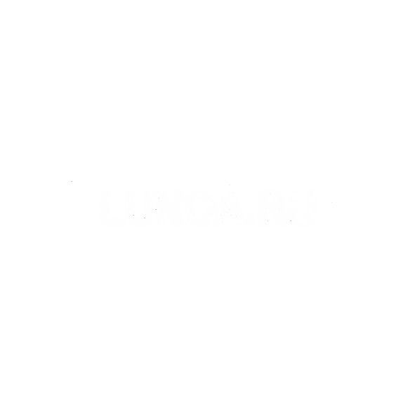 Плита горелки Vitorond 200 VD2A Viessmann