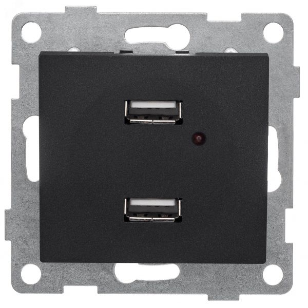 Розетка USB Bravo, механизм, двойной, графит