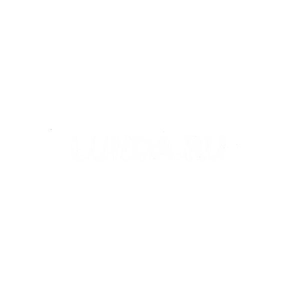 Щетка для чистки котла D=51*100, Viessmann