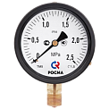 ТМ-510Р.00(0-0,1MPa)М20х1,5.1,5-IP54 манометр специальное исполнение